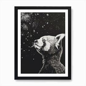 Red Panda Looking At A Starry Sky Ink Illustration 2 Art Print