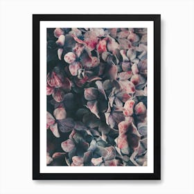 Flowers - Moody Blues Art Print