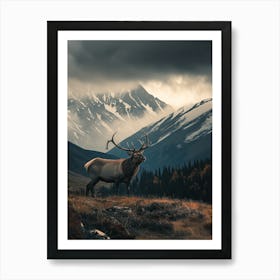 Elk In The Mountains Art Print