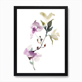 Orchid 7 Art Print