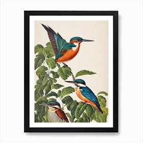 Kingfisher 2 James Audubon Vintage Style Bird Art Print