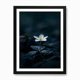 White Flower In The Dark 26 Art Print