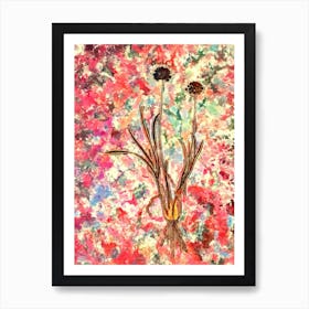 Impressionist Allium Carolinianum Botanical Painting in Blush Pink and Gold n.0031 Art Print