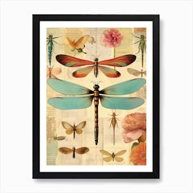 Dragonfly Vintage Species 1 Art Print