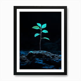 Small Green Plant In The Dark 6 Art Print