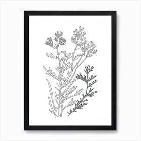 Fenugreek Herb William Morris Inspired Line Drawing 1 Art Print