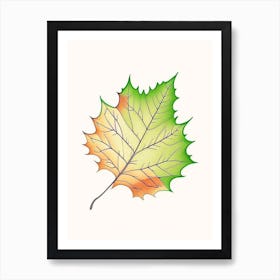 Maple Leaf Warm Tones 4 Art Print