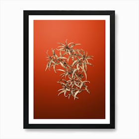 Gold Botanical Common Sea Buckthorn on Tomato Red n.1050 Art Print