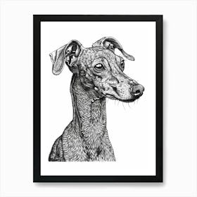 American Greyhound Dog Line Sketch 2 Art Print