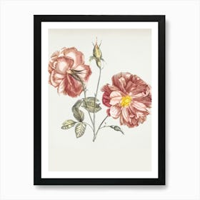 Two Roses Art Print