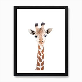 Giraffe Art Print