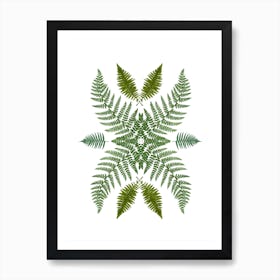 Flowing Ferns Art Print