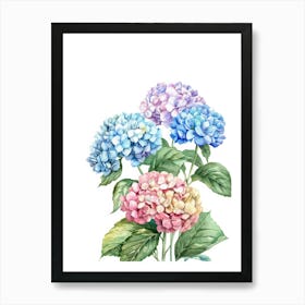 Watercolor Hydrangeas 1 Art Print