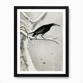 Crow On Snowy Tree Branch (1900 1936), Ohara Koson Art Print