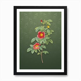 Vintage Single May Rose Botanical on Lunar Green Pattern n.0658 Art Print