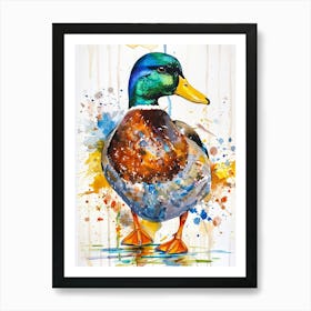 Mallard Duck Colourful Watercolour 4 Art Print