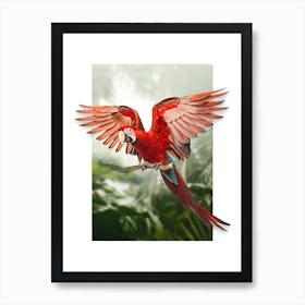 Parrot Art Print