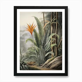 Vintage Jungle Botanical Illustration Bird Of Paradise 3 Art Print