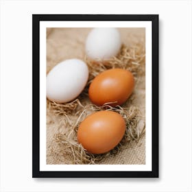 White And Brown Eggs 1 Art Print