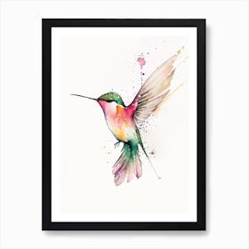 Calliope Hummingbird Minimalist Watercolour 4 Art Print
