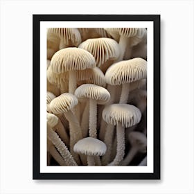 Mushroom Photography 8 Art Print