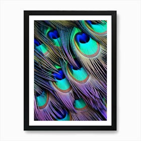 Peacock Feathers 12 Art Print