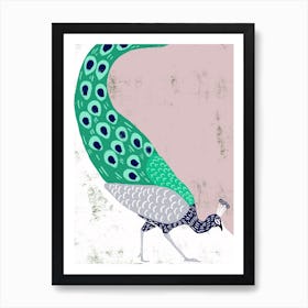 Peacock Art Print