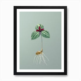 Vintage Tri Flower Botanical Art on Mint Green n.0703 Art Print