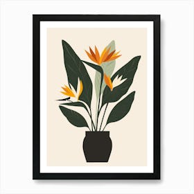 Bird Of Paradise Plant Minimalist Illustration 1 Art Print