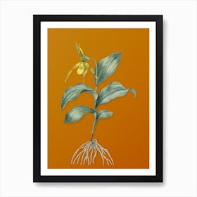 Vintage Yellow Lady's Slipper Orchid Botanical on Sunset Orange n.0071 Art Print