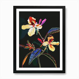 Neon Flowers On Black Impatiens 4 Art Print