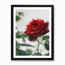 Red Rose Art Print