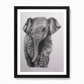 Baby elephant Art Print