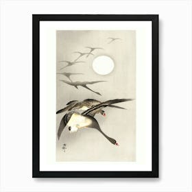 Geese At Full Moon (1930 1945), Ohara Koson Art Print