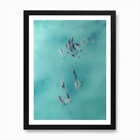 Blue Water Dolphins Art Print