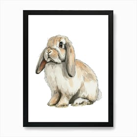 American Fuzzy Lop Rabbit Kids Illustration 3 Art Print