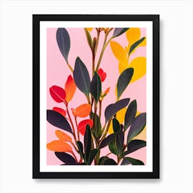 Kalanchoe Thyrsiflora Colourful Illustration Plant Art Print