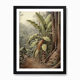 Vintage Jungle Botanical Illustration Banana Plant 1 Art Print