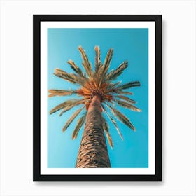 Palm Tree Against Blue Sky Art Print