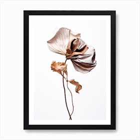 The Beauty Of Aging Art Print