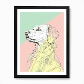 Pastel Nova Scotia Duck Tolling Retriever Dog Pastel Line Illustration 3 Art Print