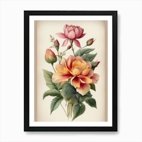 Vintage Peonies Art Print