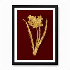 Vintage Narcissus Easter Flower Botanical in Gold on Red n.0132 Art Print