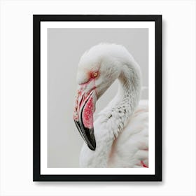 Flamingo 3 Art Print