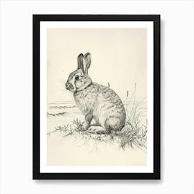 Holland Lop Rabbit Drawing 2 Art Print