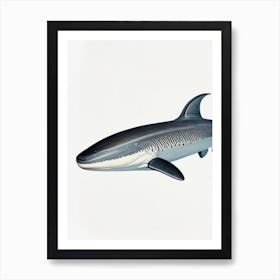 Greenland Shark 3 Vintage Art Print