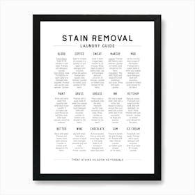 Laundry Stain Removal Guide Art Print