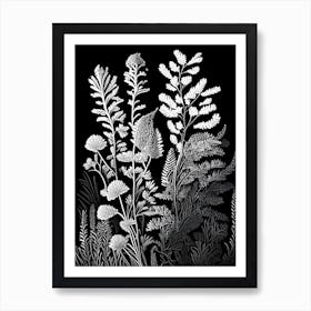 Club Moss Wildflower Linocut 1 Art Print