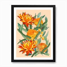 Orange Australian Native Flowers Art Print
