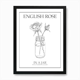 English Rose In A Jar Line Drawing 2 Poster Art Print